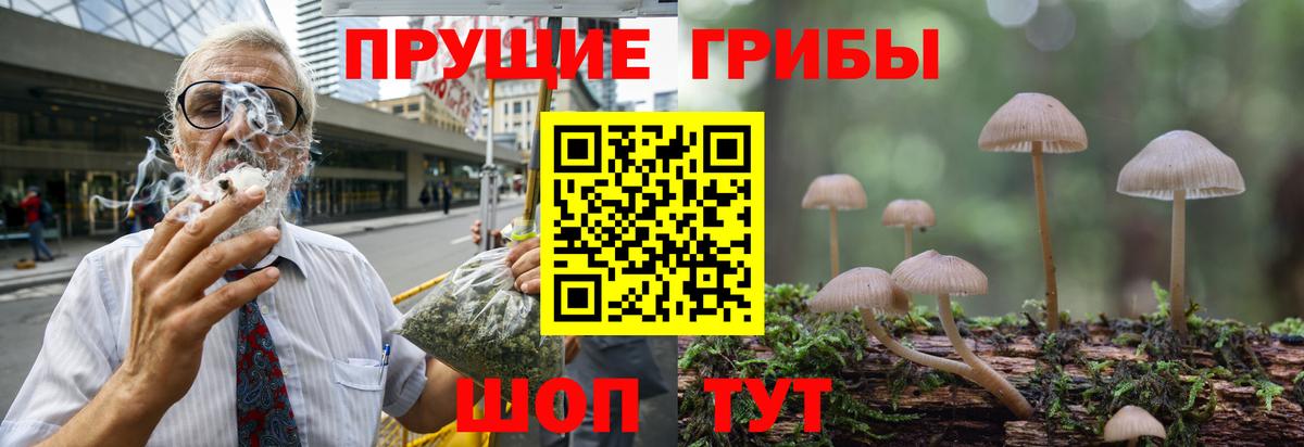 продажа наркотиков  Вход с VPN  Урай  Галлюциногенные грибы прущие грибы 
